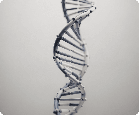 DNA Testing